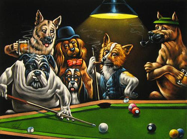 Dogs Pool Diamond Painting Kit - DIY